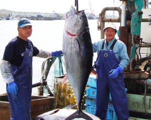 釣り漁業