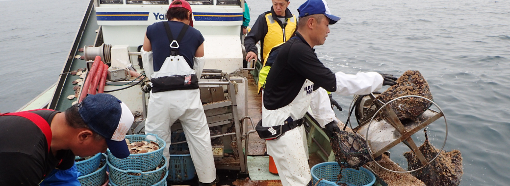 ホタテガイ養殖業